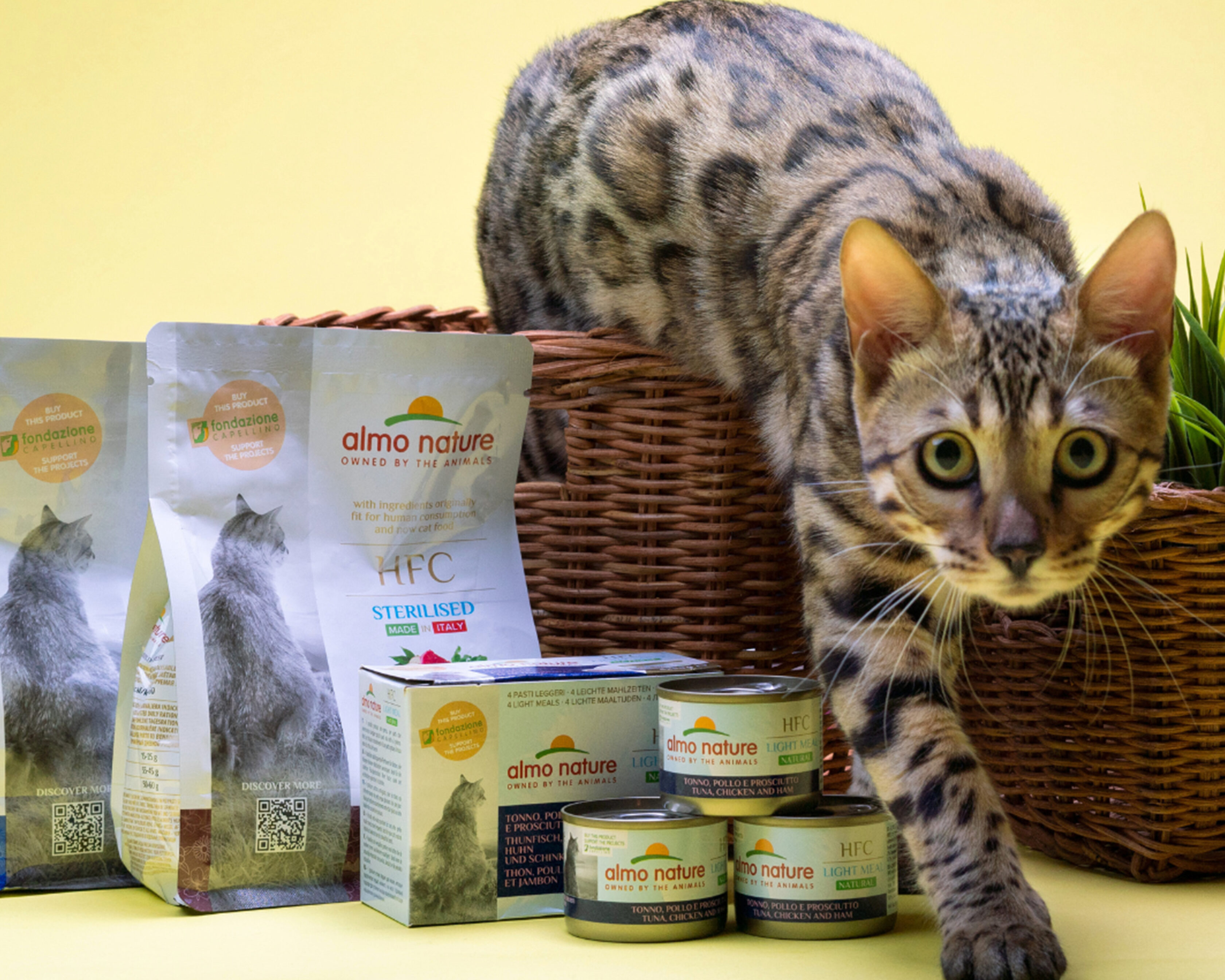 Most expensive cat food best sale