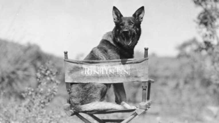 The adventures of Rin Tin Tin