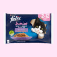 Felix_junior_wet cat food