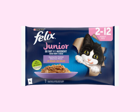 Felix_junior_nasses Katzenfutter