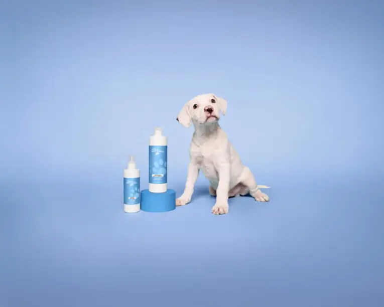 PM_Pet_Diego_Awapuhi_Shampoo_Shine_Spray