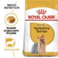 royal canin_yockie_dry