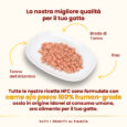 highly-appetizing-atlantic-tuna-5873_4